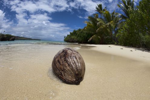 rp_wyspa-Fiji.jpg